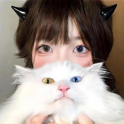 精武之拳战江湖